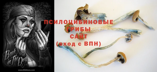 ГАЛЛЮЦИНОГЕННЫЕ ГРИБЫ Верея