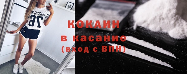 ГАЛЛЮЦИНОГЕННЫЕ ГРИБЫ Верея