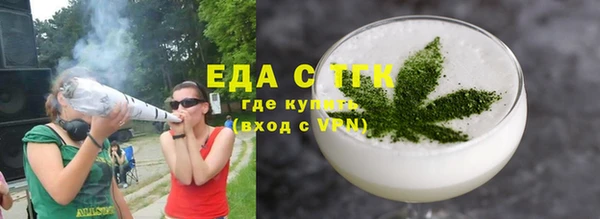 индика Снежногорск