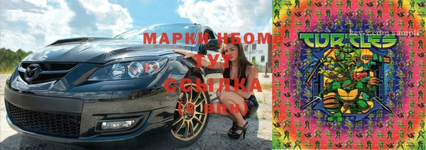 ГАЛЛЮЦИНОГЕННЫЕ ГРИБЫ Верея