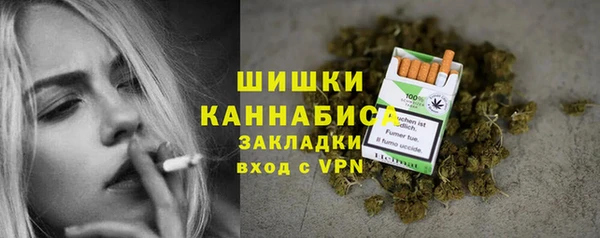 индика Снежногорск